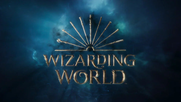 The Wizarding World in Chronological Order (Harry Potter)